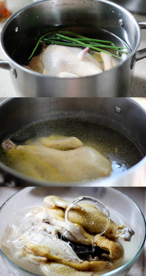 Saliva Chicken—Mouthwatering Chicken - China Sichuan Food