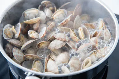 clam stir fry|chinasichuanfood.com