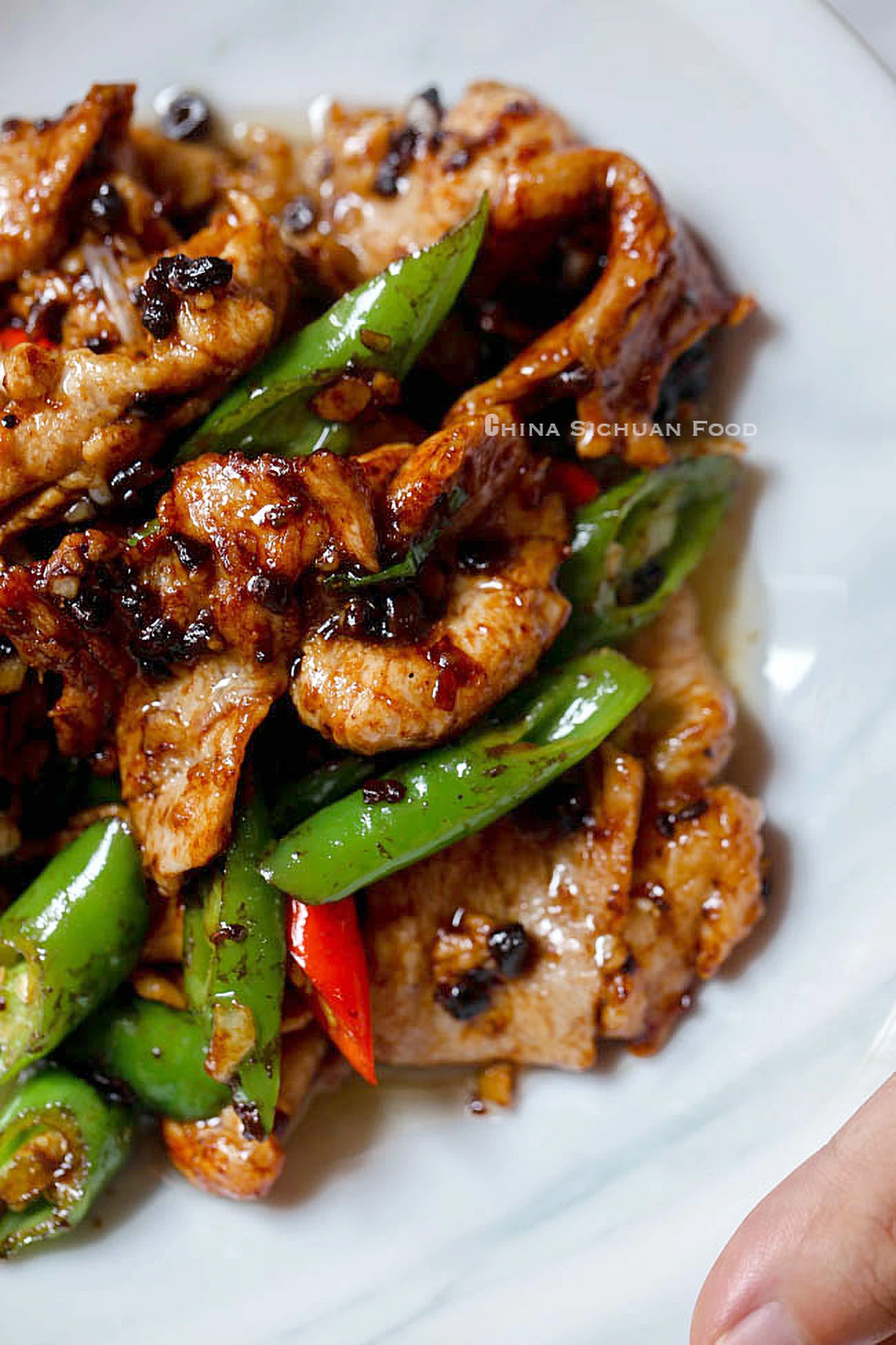 Pork Stir Fry with Black Bean Sauce|chinasichuanfood.com