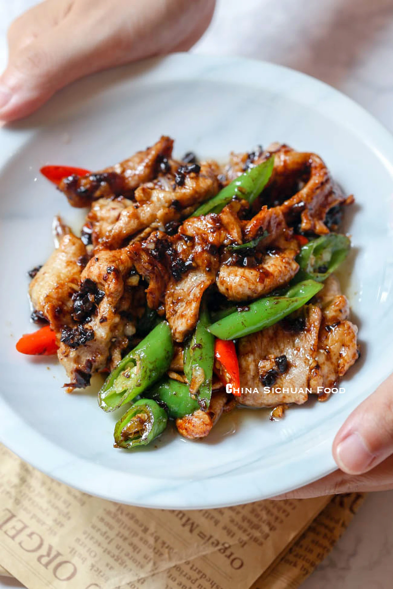 Pork Stir Fry with Black Bean Sauce|chinasichuanfood.com