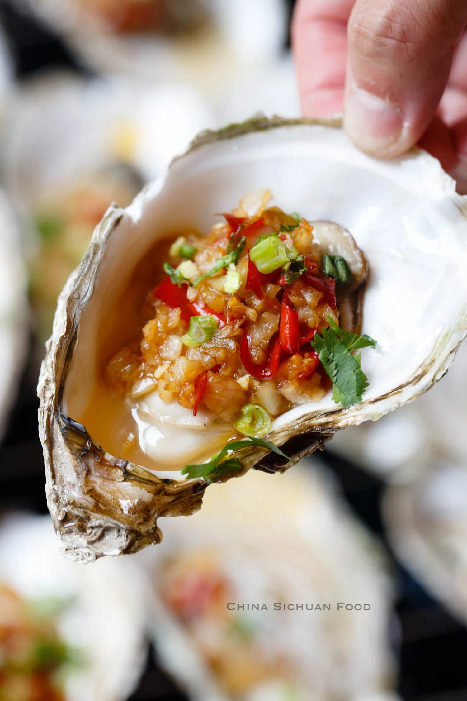 Oyster with Garlic Sauce｜chinasichuanfood.com