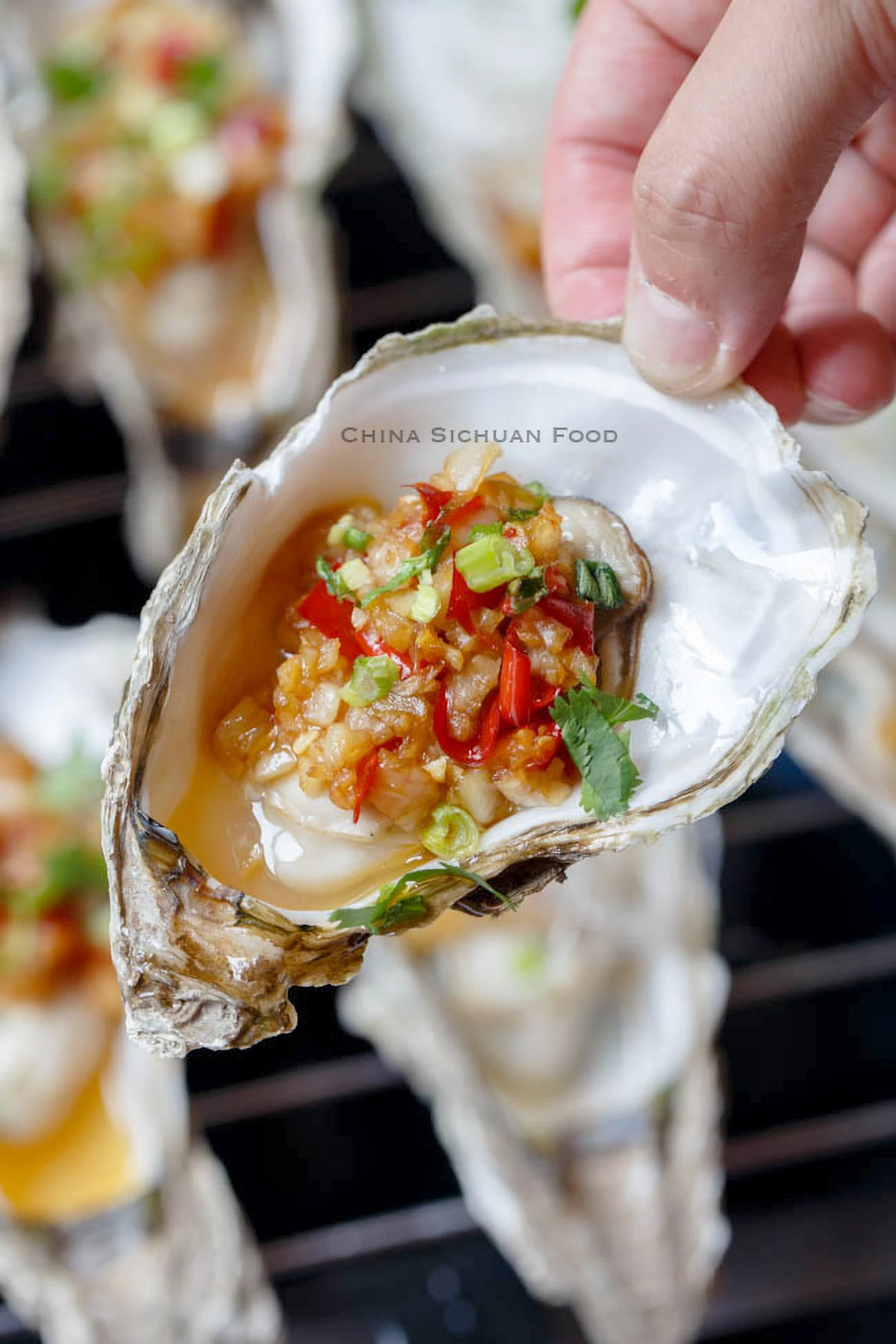 Oyster with Garlic Sauce｜chinasichuanfood.com