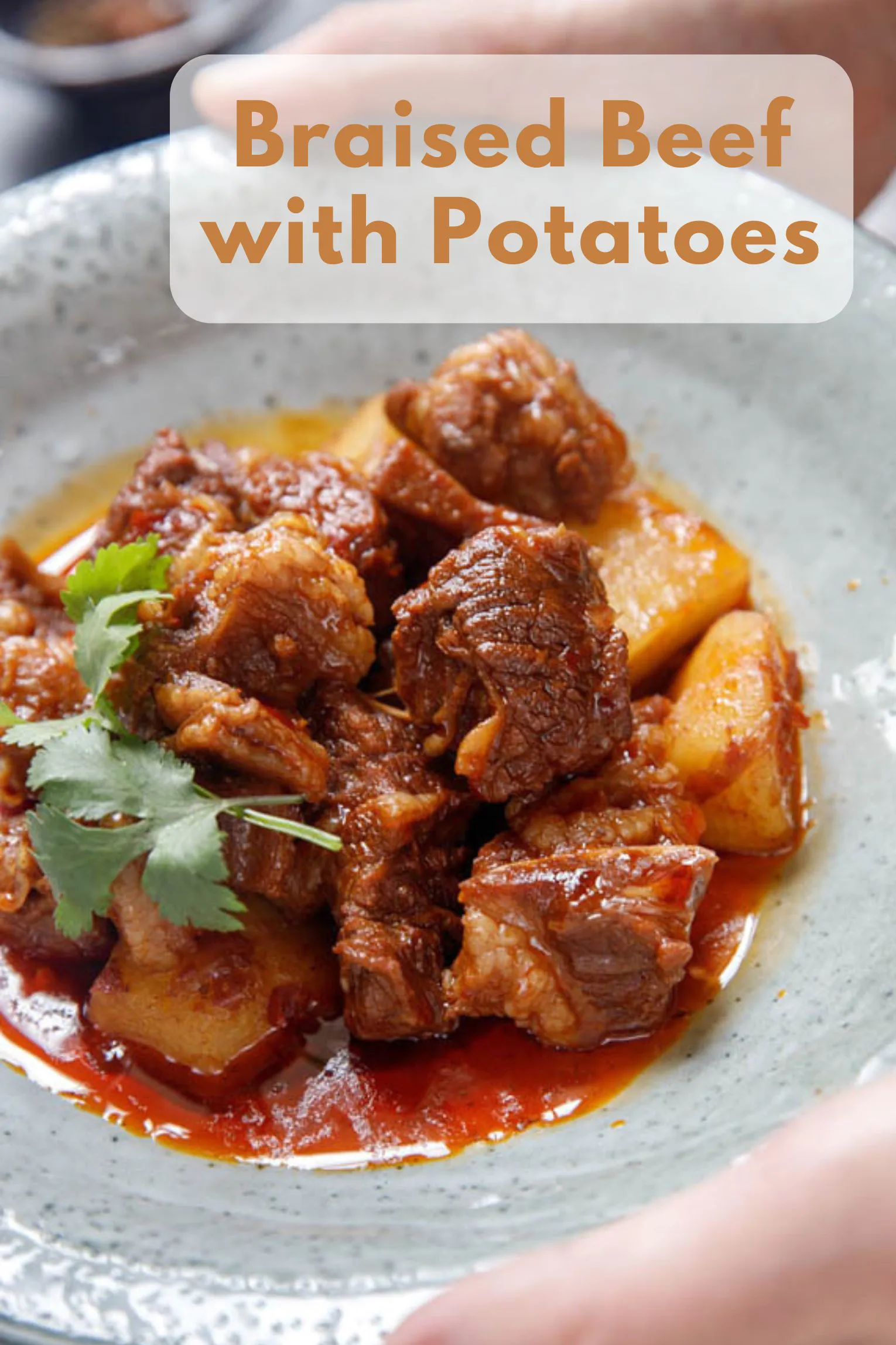 Braised Beef with Potatoes|chinasichuanfood.com