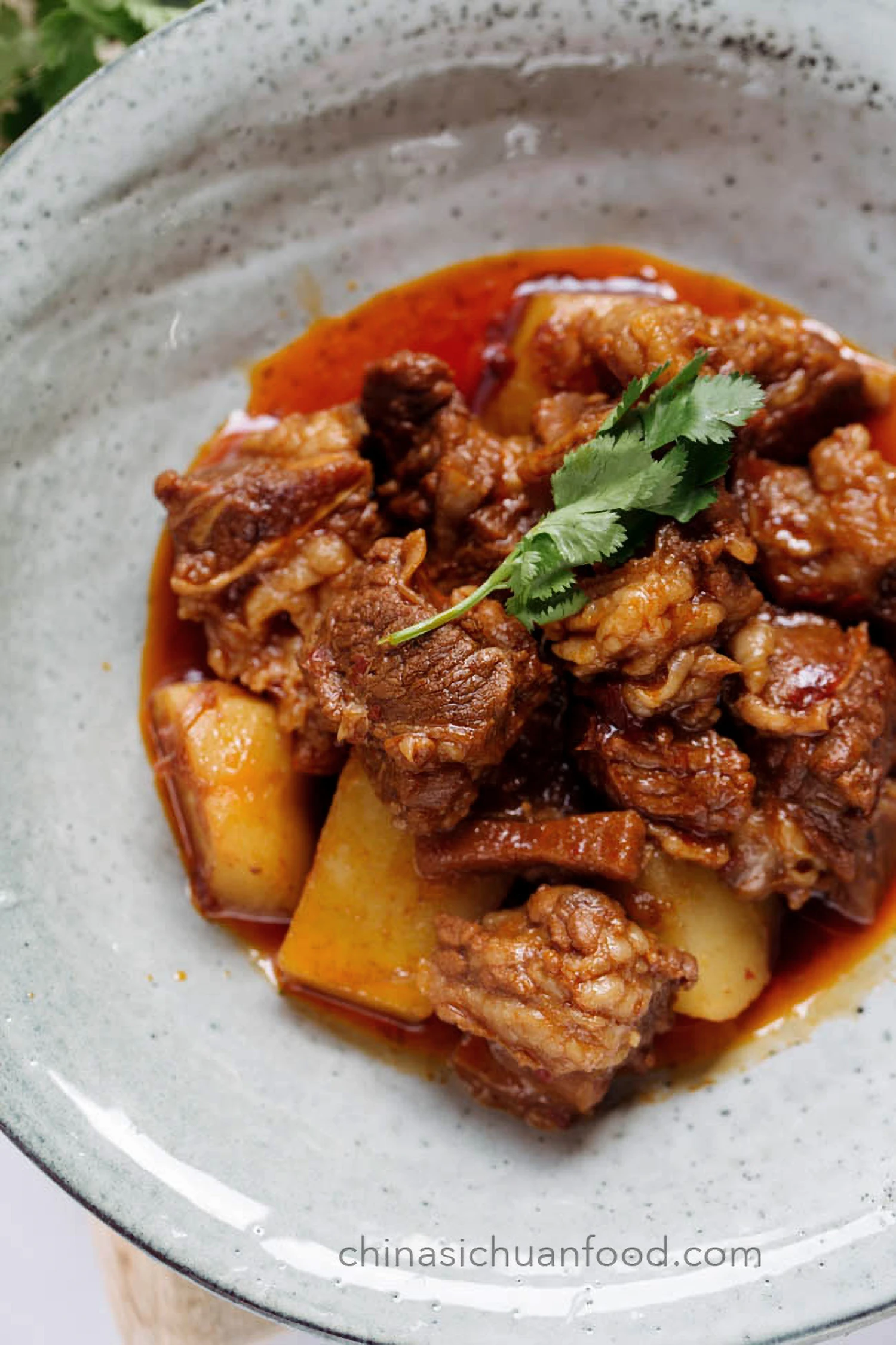 Braised Beef with Potatoes|chinasichuanfood.com