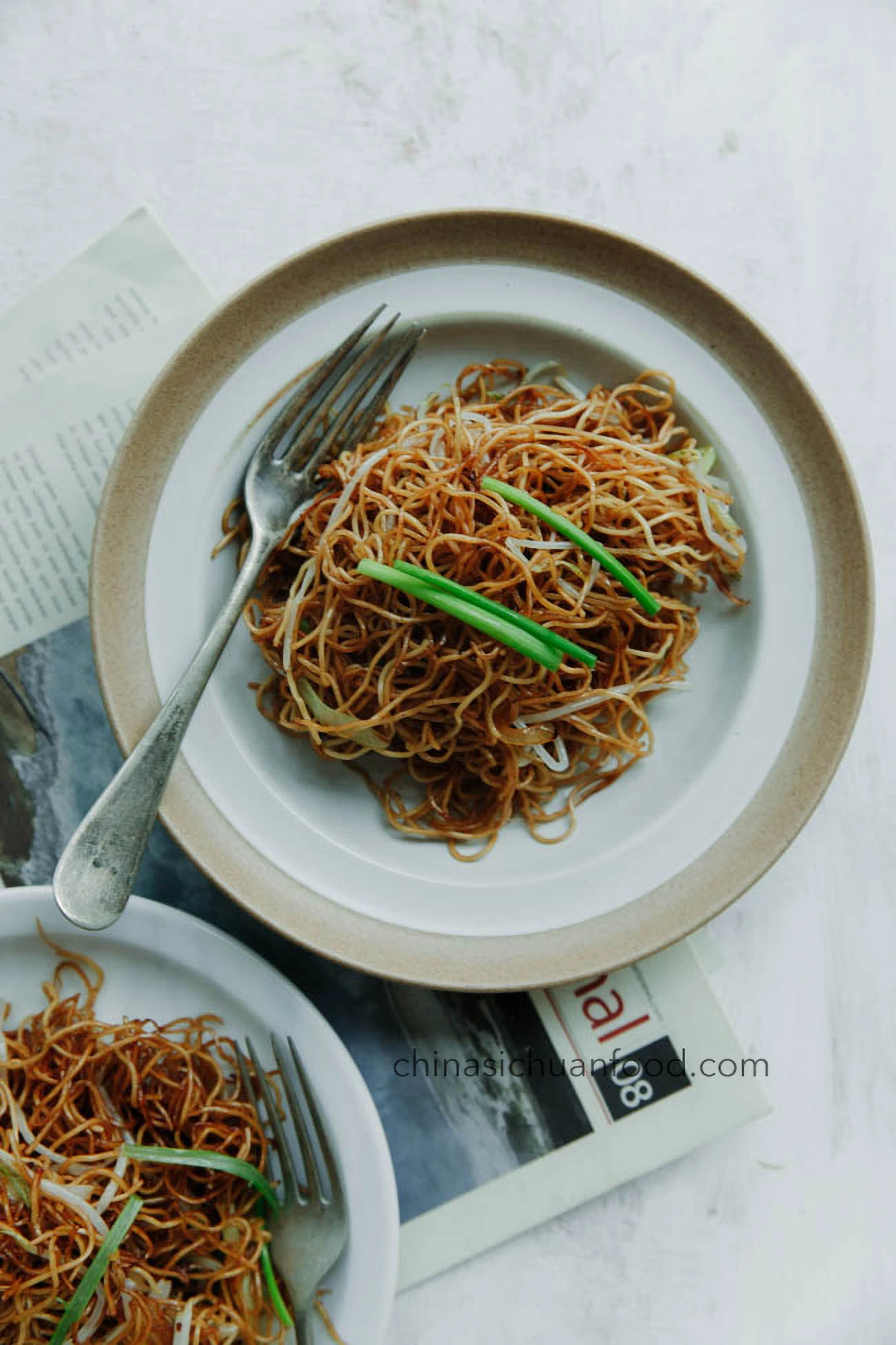 Soy Sauce Pan Fried Noodles|chinasichuanfood.com