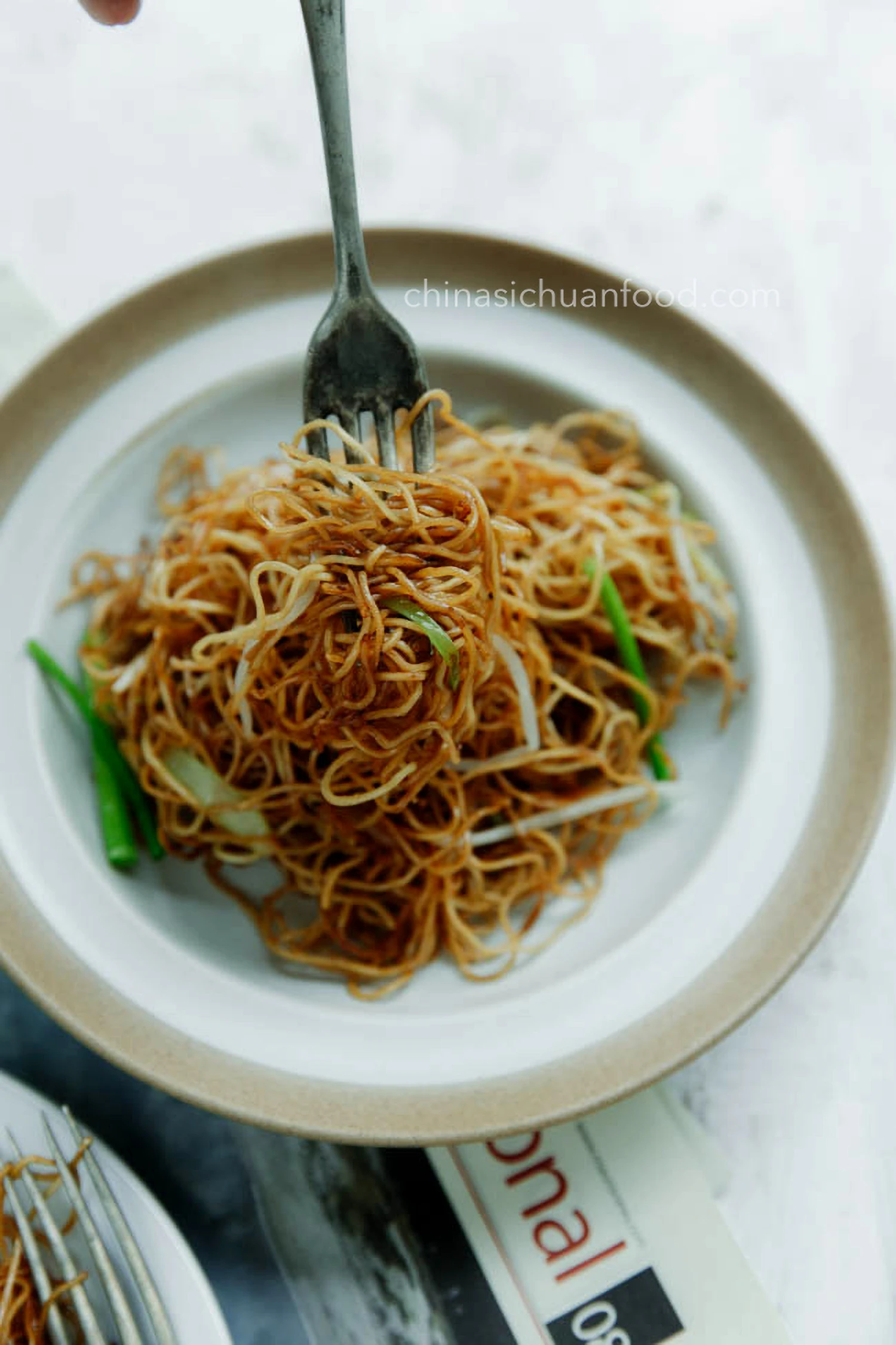 Soy Sauce Pan Fried Noodles|chinasichuanfood.com