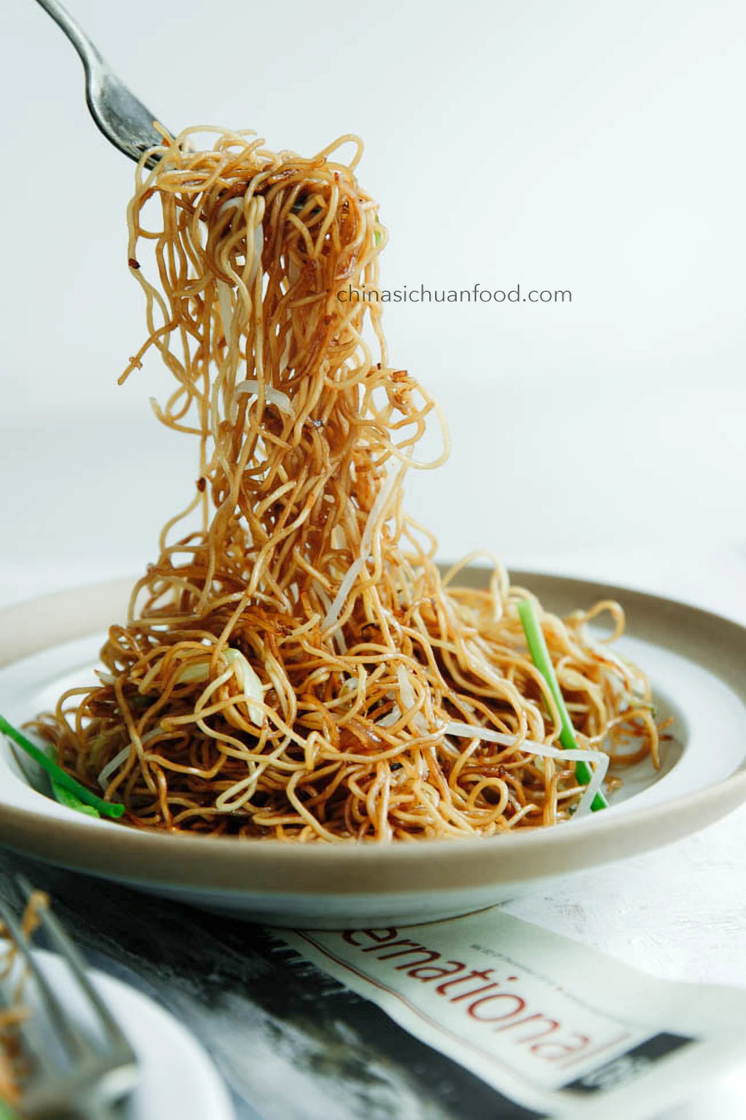 Soy Sauce Pan Fried Noodles|chinasichuanfood.com