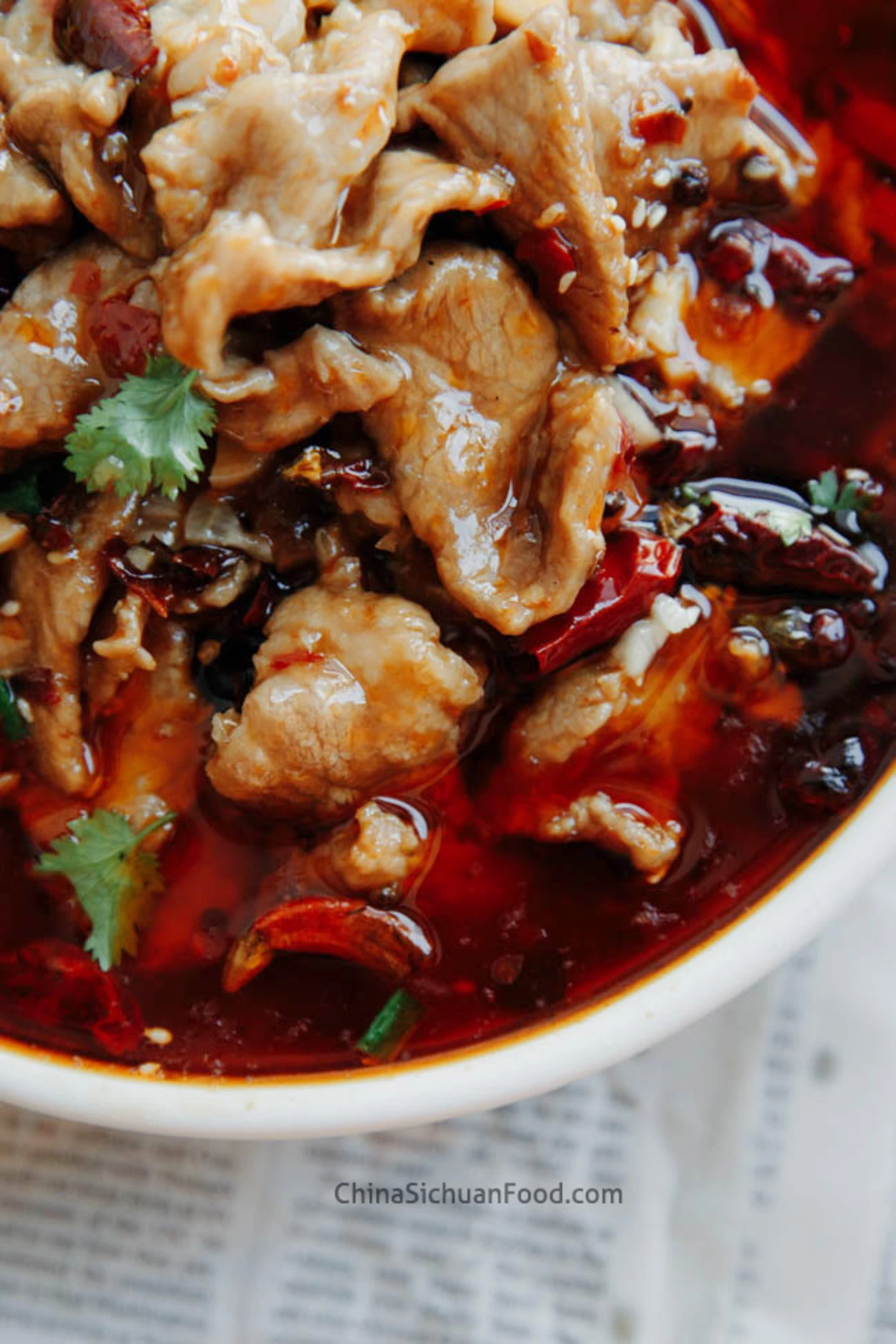 Shui Zhu Pork- Szechuan Pork in Spicy Broth|chinasichuanfood.com