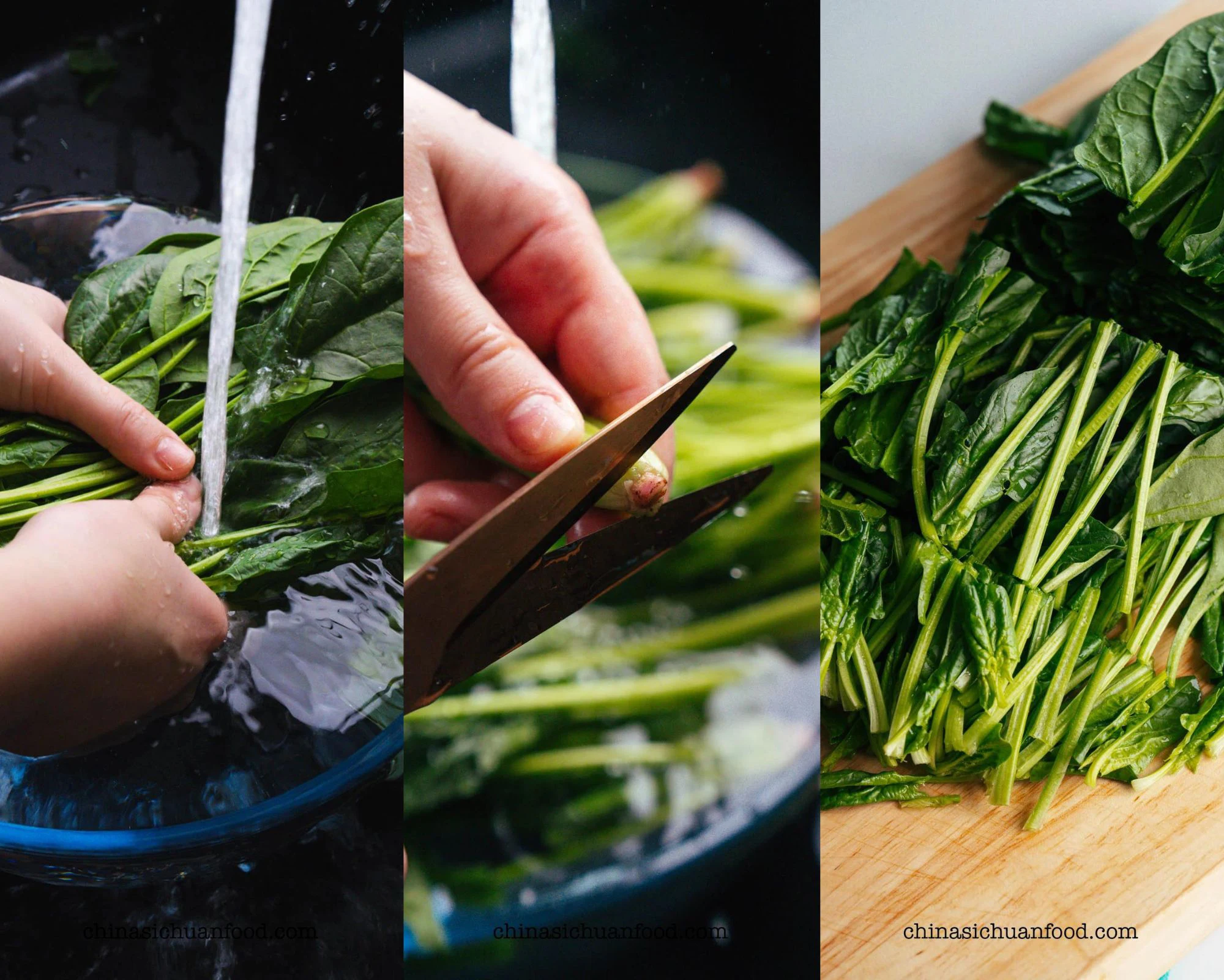 Easy Spinach Stir Fry - China Sichuan Food