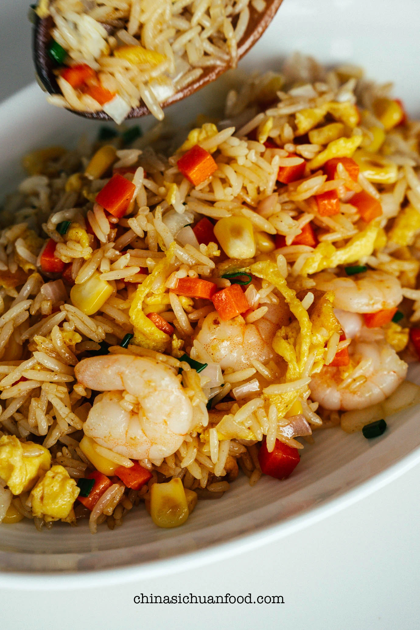 curry fried rice | chinasichuanfood.com