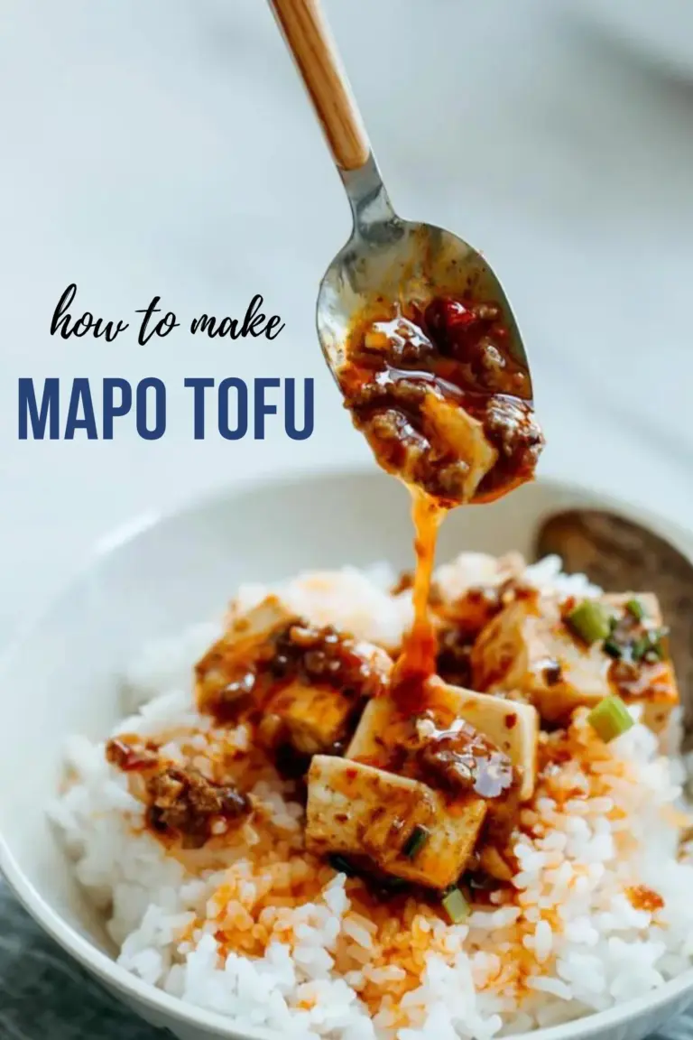 Mapo Tofu Recipe – Ma Po Tofu