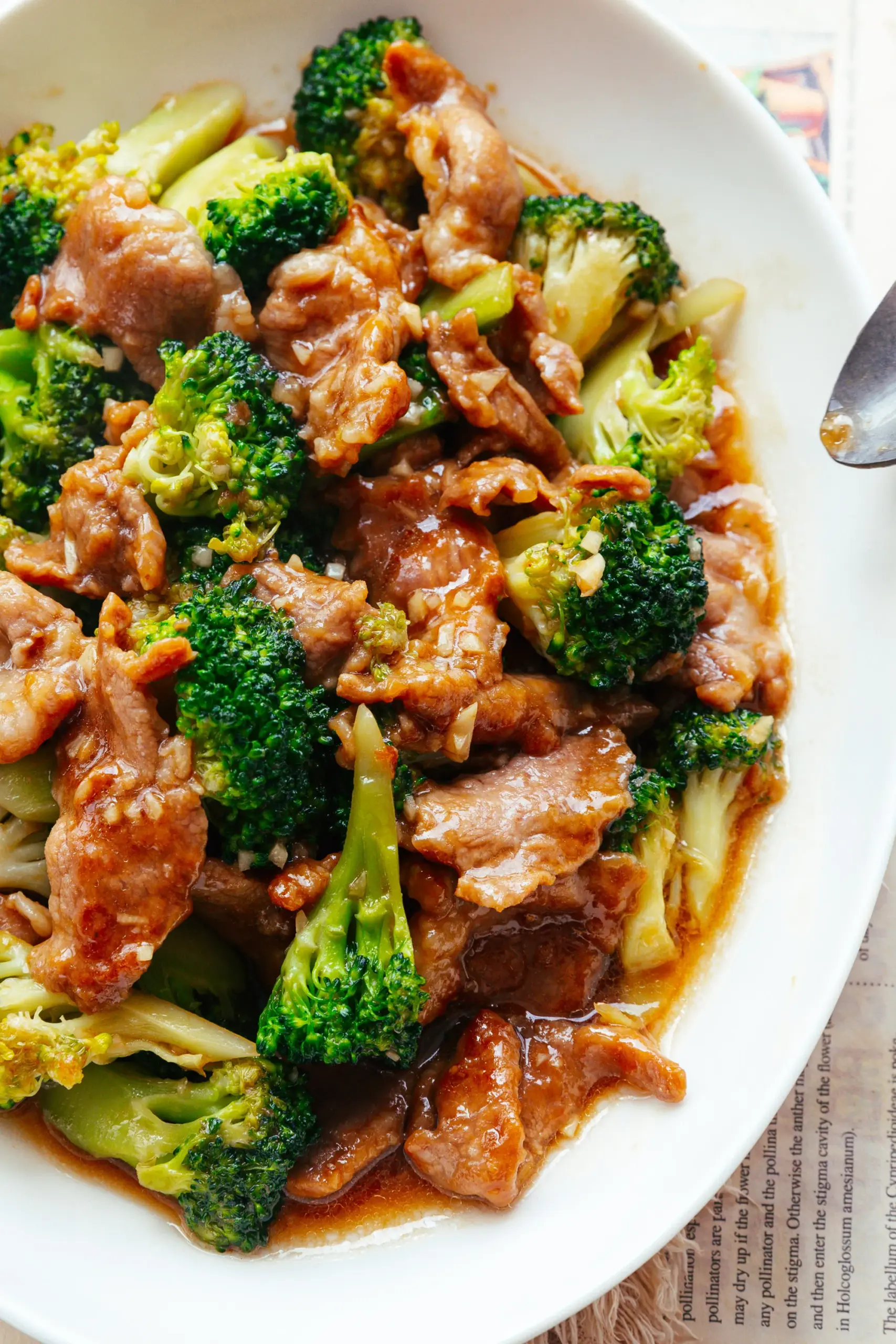 Pork and Broccoli Stir Fry|ChinaSichuanFood.com