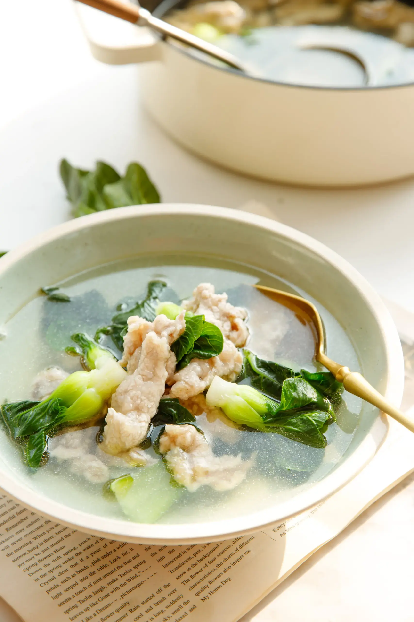 bok choy and pork soup | chinasichuanfood.com